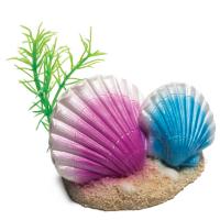 Laguna Грот Ракушки каури в зоомагазине Лепшы Сябар