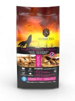 AMBROSIA GRAIN FREE Puppy&Junior Large Breeds (курица, лосось) в зоомагазине Лепшы Сябар