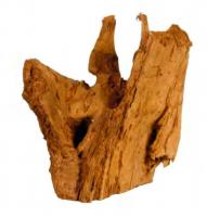 Aquael Декорация для аквариума MANGROVE ROOT (L) (мангровый корень) 30-60 см в зоомагазине Лепшы Сябар