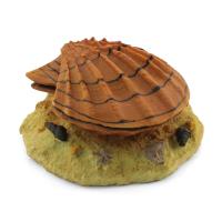 Laguna Грот аэрационный Раковина с жемчужиной в зоомагазине Лепшы Сябар