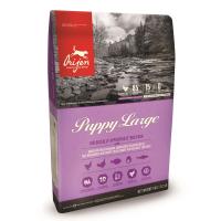 Orijen Puppy Large в зоомагазине Лепшы Сябар
