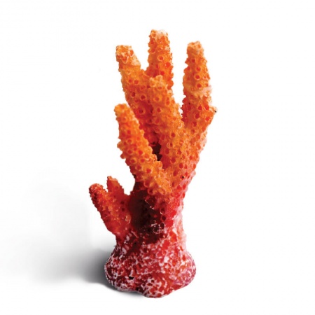 Коралл искусственный "Синулярия мини" в зоомагазине Лепшы Сябар